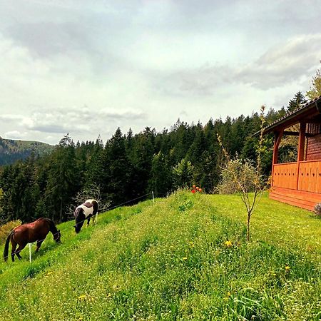 Tiny House Villa Ziri Exterior photo