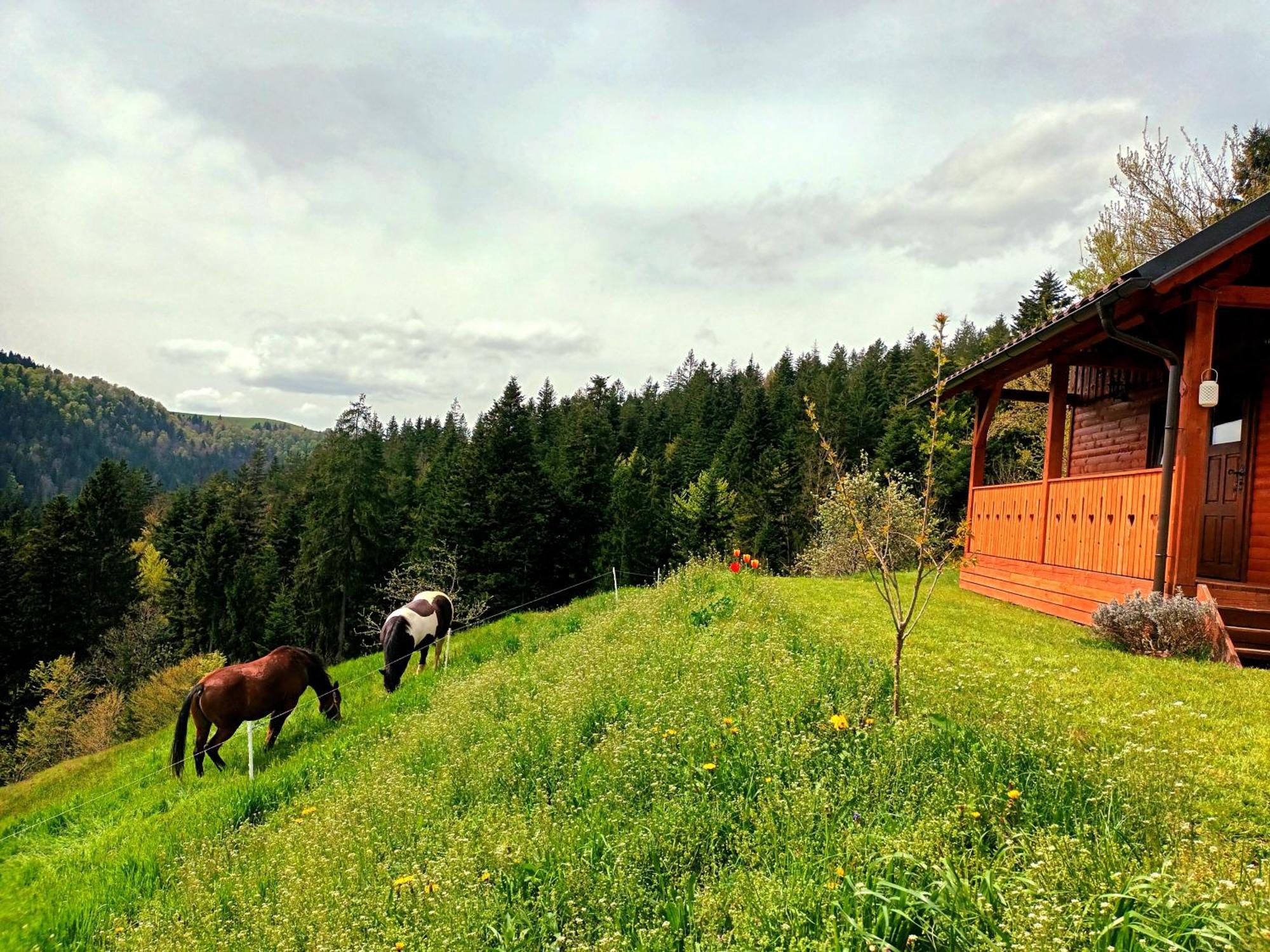 Tiny House Villa Ziri Exterior photo